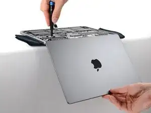 KcttPoUrhXuYmHK6