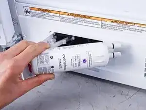 dxDL4XlCFtQ1ZYKM