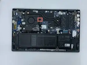 rSsoBuZbbXEWs2Pv