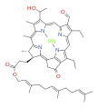 bacteriochlorophyll e