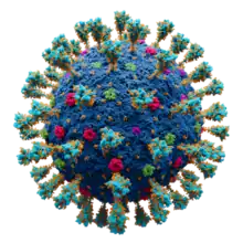 "Severe acute respiratory syndrome coronavirus 2"