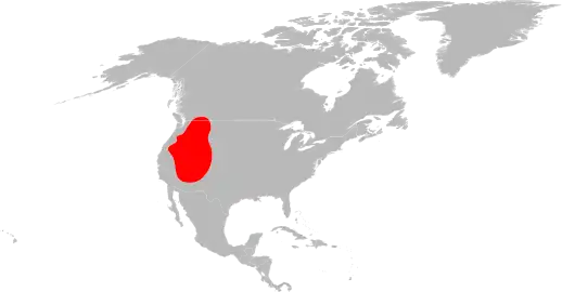Rocky Mountain wood tick (Dermacentor andersoni) range