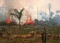 Deforestation in Brazil