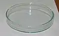 Petri dish