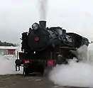 The 59 class of 20 locomotives were among the last steamers delivered by the famous Baldwin USA locomotive works.