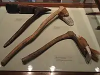 Adzes, Marshall and Yap Islands (Peabody Museum)