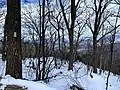 Appalachian Trail Blaze en route to Hawksbill Summit
