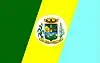 Flag of São José do Hortêncio