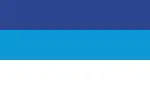 Flag of Pérez Zeledón