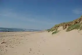 Beach & dunes.
