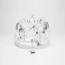 Cover art for "You Should See Me in a Crown": a crown surrounded by multiple spiders