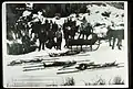Bodies of the four stockmen out of the Back Country