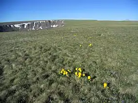 Photo of Calf Creek Plateau.