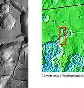 Huge canyons in Aureum Chaos.  Gullies are rare at this latitude.  Picture taken by THEMIS.
