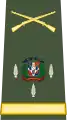 Colonel