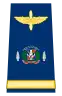 Teniente Coronel