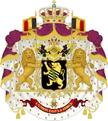King Leopord II and Albert I