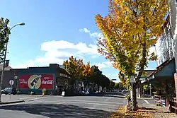 Cottage Grove Historic District
