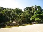 Shrubs cut in round shapes beyond raked gravel and large stones.