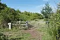 Dog walking area.