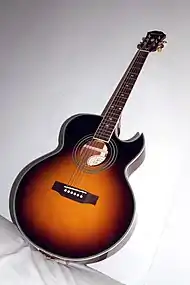 PR-5E VS Cutaway Acoustic