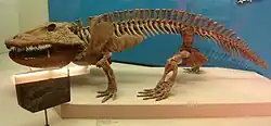 Eryops