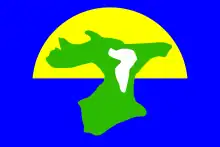 Flag of the Chatham Islands (unofficial)