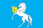 Flag of Chertanovo Severnoye District
