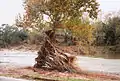 Flood damage in Blue Hole Park Nov 2001