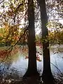 Passaic River