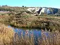 Heart of Reeds, Lewes