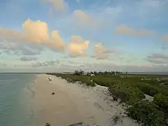 Flora, Fauna and landscapes from The Thirteen Islands of St. Brandon