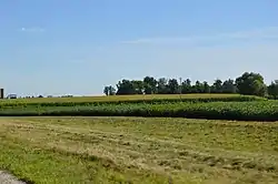 Farm fields east of Port Jefferson