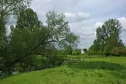 Little Waltham Meadows