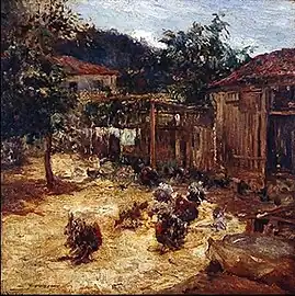 Turkeys in the Sun