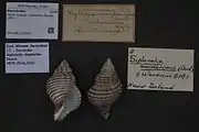 A modern, beach worn shell