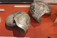 Carved nautilus shells to commemorate Horatio Nelson