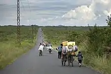 Image 35People fleeing their villages due to fighting between FARDC and rebel groups, North Kivu, 2012 (from Democratic Republic of the Congo)