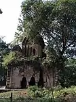 Gopinath temple at Radhanagar