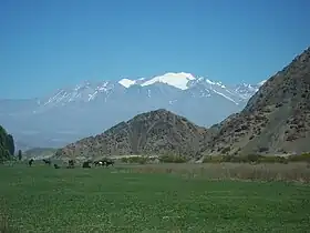 Horses roaming in the park with snow-capped Andes in the distance