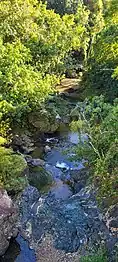 Quebrada Riachuelo in Palmarito