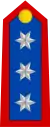Army