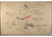 Plate XLIV