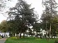 Rosalie Morton Park