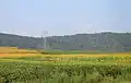 Upper Mahanoy Township
