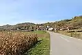 Belotić - panorama