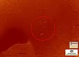Side scan sonar, category 3 contact