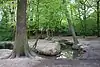 Prittle Brook in Belfairs Wood