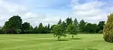 The cricket pitch