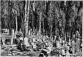 Cemetery of Scutari, 1876